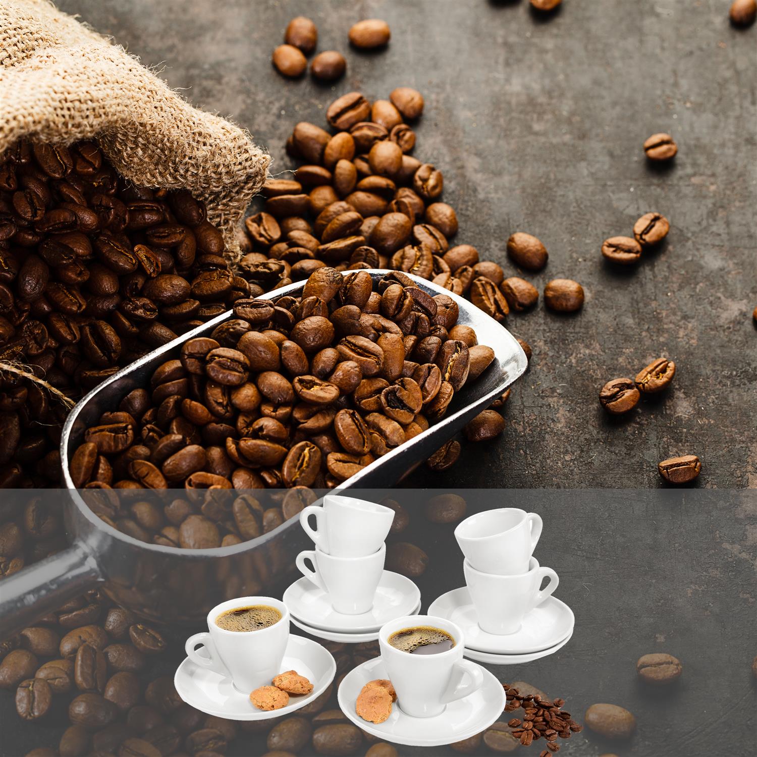 SÄNGER Espressotassen Set New Port 12 teilig für 6 Personen
