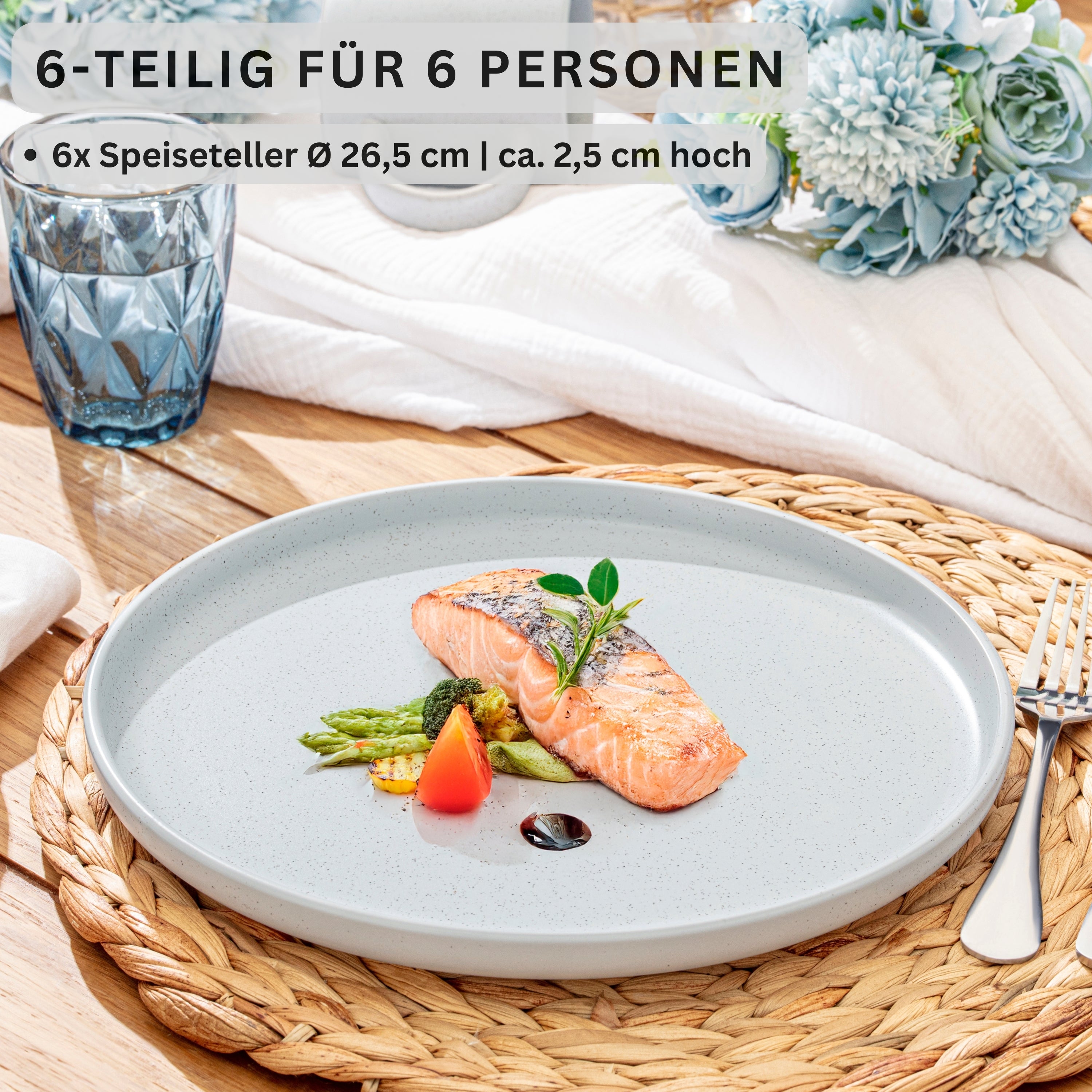 SÄNGER Steingut Speiseteller Leeds Frost 6 teilig